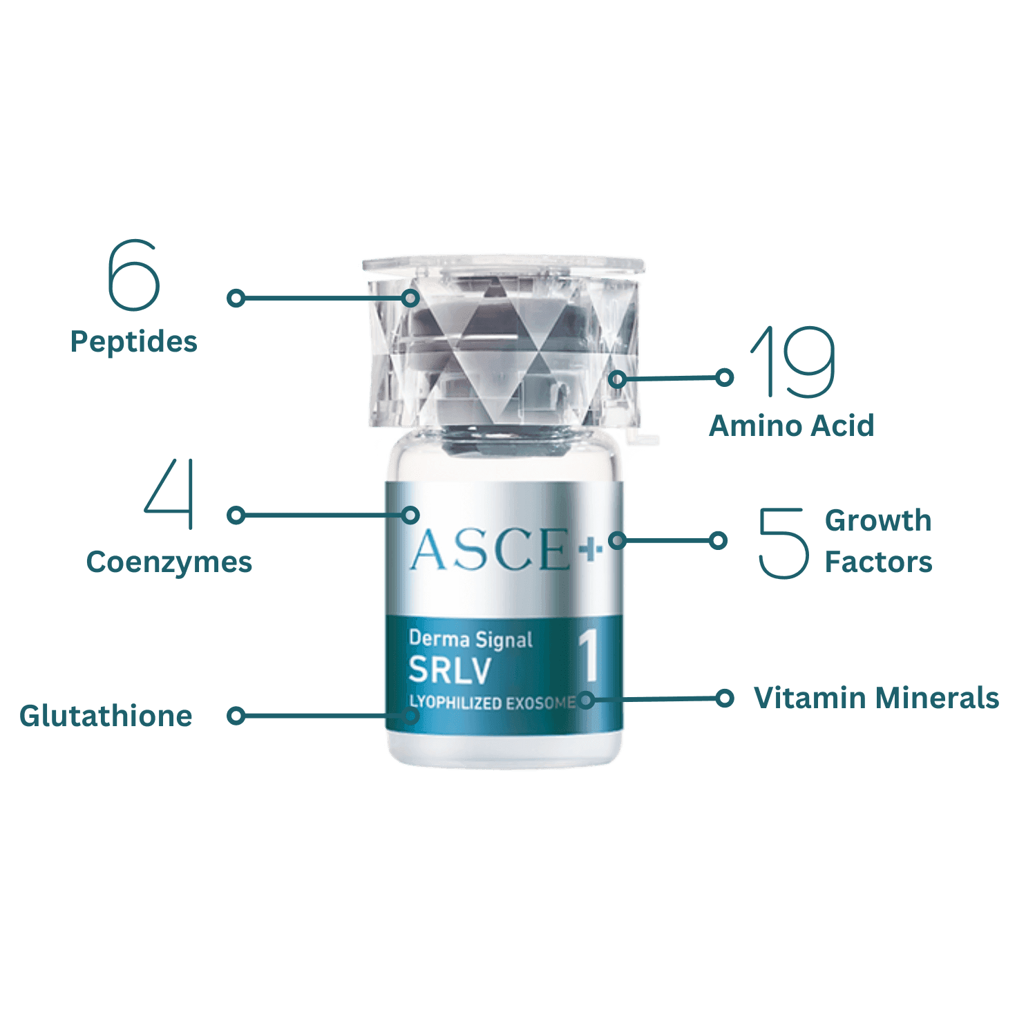 What is ASCE+?